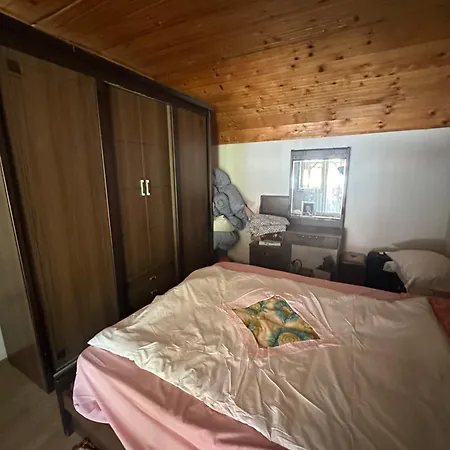 Apartment Freedom - 15 Min To Exit Petrovaradin